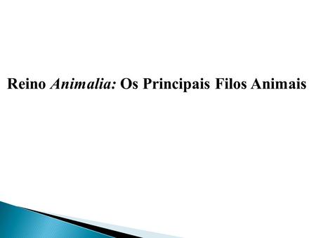 Reino Animalia: Os Principais Filos Animais