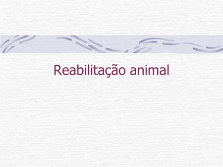 Reabilitação animal.