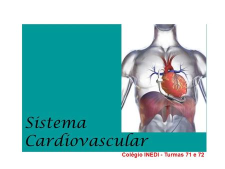 Sistema Cardiovascular Colégio INEDI - Turmas 71 e 72.