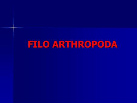 FILO ARTHROPODA.