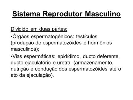 Sistema Reprodutor Masculino