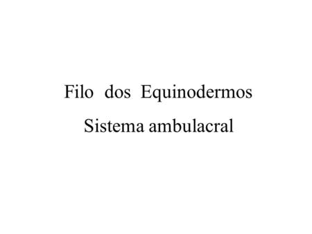 Filo dos Equinodermos Sistema ambulacral.