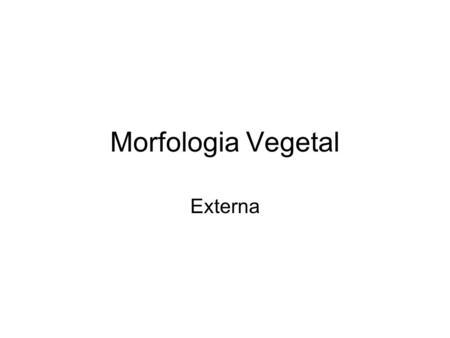 Morfologia Vegetal Externa.
