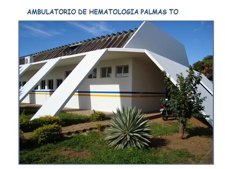 AMBULATORIO DE HEMATOLOGIA PALMAS TO