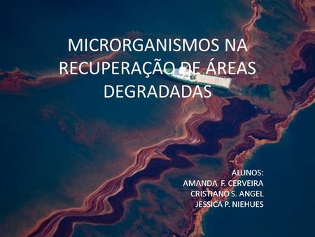MICRORGANISMOS NA RECUPERAÇÃO DE ÁREAS DEGRADADAS