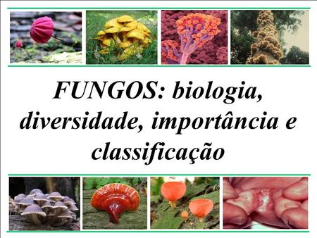 FUNGOS: biologia, diversidade, importância e classificação