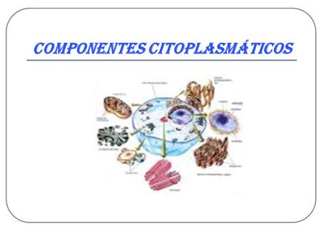 Componentes Citoplasmáticos