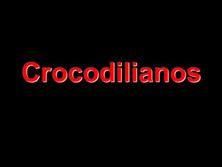 Crocodilianos.