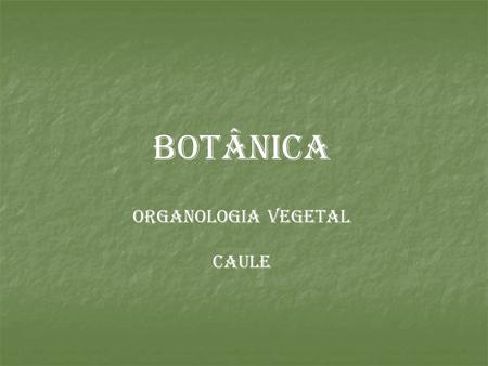 BOTÂNICA ORGANOLOGIA VEGETAL CAULE