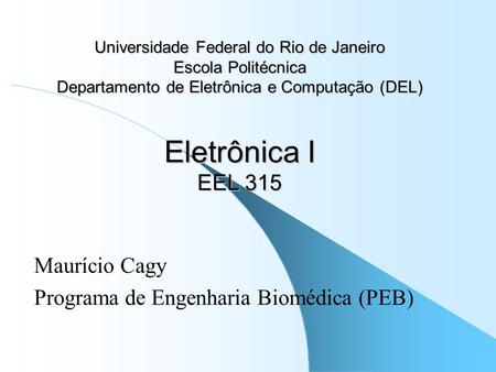 Maurício Cagy Programa de Engenharia Biomédica (PEB)