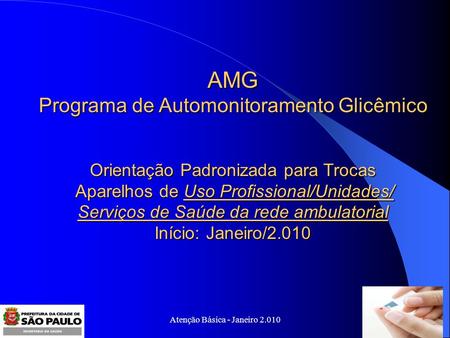 AMG Programa de Automonitoramento Glicêmico
