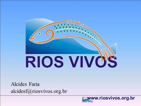 Alcides Faria alcidesf@riosvivos.org.br www.riosvivos.org.br.