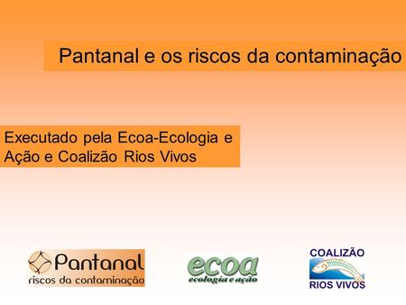 Pantanal e os riscos da contaminação