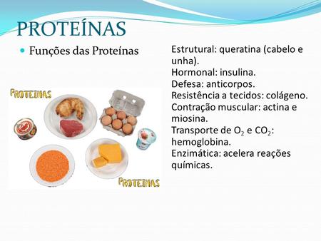 PROTEÍNAS Funções das Proteínas Estrutural: queratina (cabelo e unha).