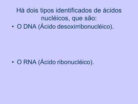 Há dois tipos identificados de ácidos nucléicos, que são:
