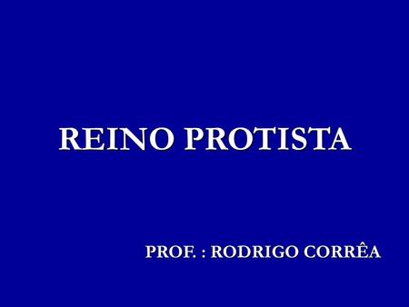 REINO PROTISTA PROF. : RODRIGO CORRÊA.