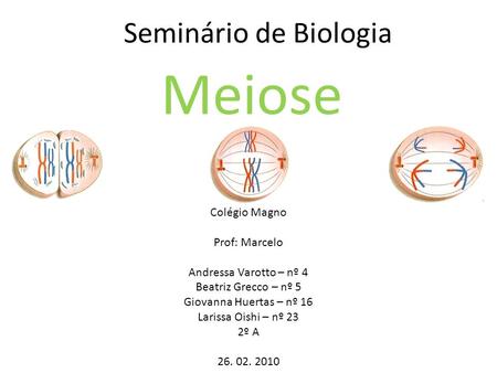 Meiose Seminário de Biologia Colégio Magno Prof: Marcelo
