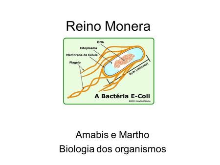 Amabis e Martho Biologia dos organismos