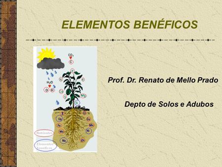 ELEMENTOS BENÉFICOS Prof. Dr. Renato de Mello Prado