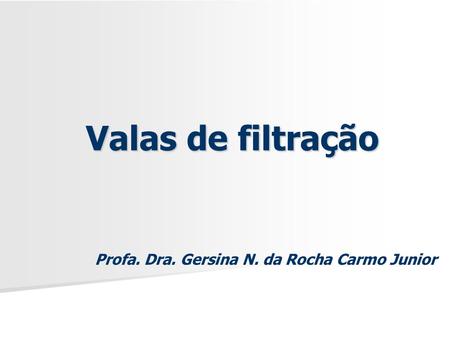 Profa. Dra. Gersina N. da Rocha Carmo Junior