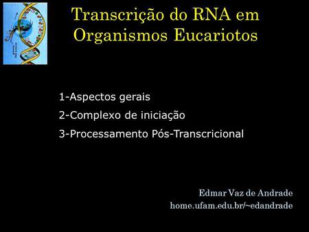 Transcrição do RNA em Organismos Eucariotos