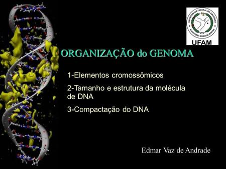ORGANIZAÇÃO do GENOMA 1-Elementos cromossômicos