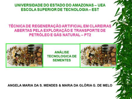 UNIVERSIDADE DO ESTADO DO AMAZONAS – UEA