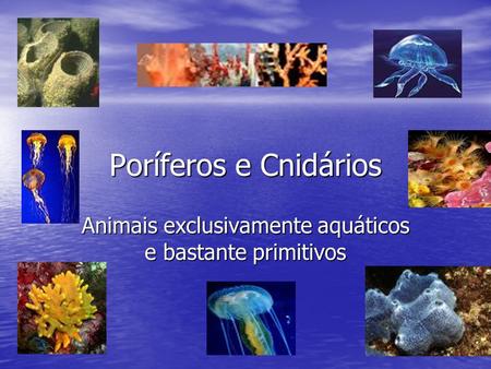 Animais exclusivamente aquáticos e bastante primitivos