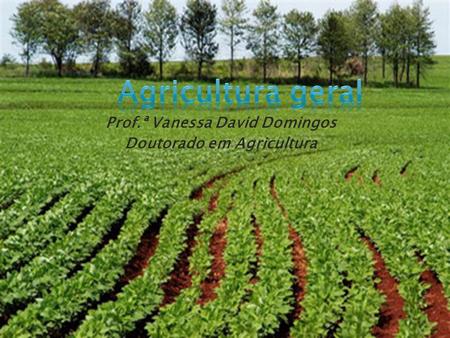 Prof.ª Vanessa David Domingos Doutorado em Agricultura