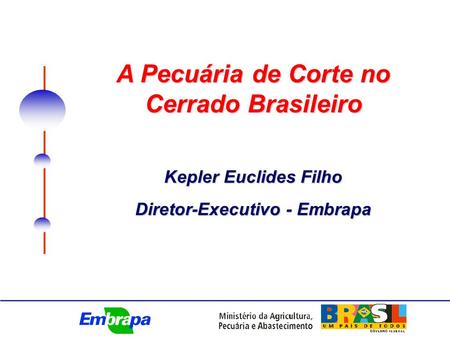 A Pecuária de Corte no Cerrado Brasileiro Kepler Euclides Filho Diretor-Executivo - Embrapa.