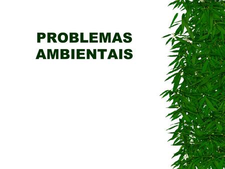 PROBLEMAS AMBIENTAIS.
