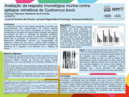 Avaliação da resposta imunológica murina contra epitopos miméticos de Cysticercus bovis Rodrigo Pedroso Madlener de Almeida UFPR/TN Juliana Ferreira de.