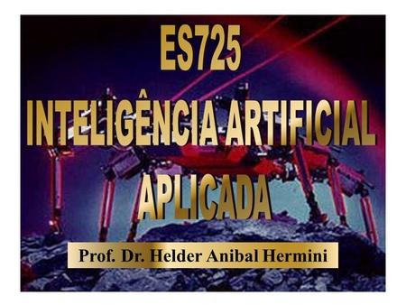 Prof. Dr. Helder Anibal Hermini