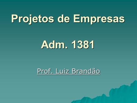 Projetos de Empresas Adm. 1381 Prof. Luiz Brandão.