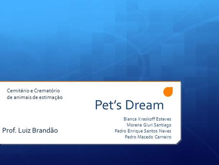 Pet’s Dream Prof. Luiz Brandão Cemitério e Crematório