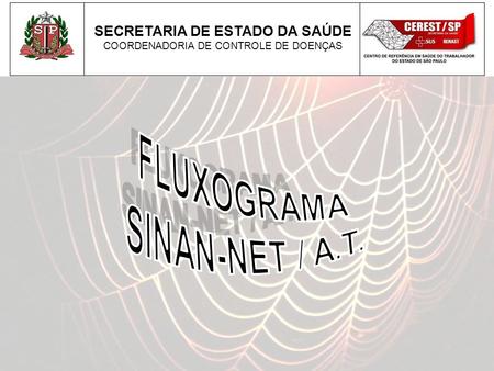 FLUXOGRAMA SINAN-NET / A.T.