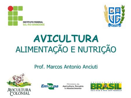 AVICULTURA ALIMENTAÇÃO E NUTRIÇÃO Prof. Marcos Antonio Anciuti