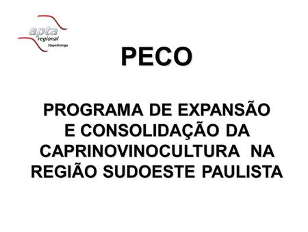 PECO PROGRAMA DE EXPANSÃO E CONSOLIDAÇÃO DA CAPRINOVINOCULTURA NA REGIÃO SUDOESTE PAULISTA.