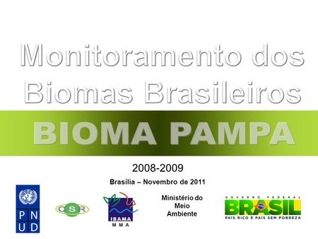 Monitoramento dos Biomas Brasileiros Ministério do Meio Ambiente
