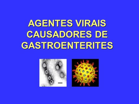 AGENTES VIRAIS CAUSADORES DE GASTROENTERITES