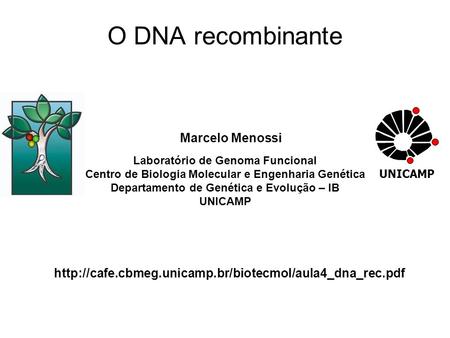 O DNA recombinante Marcelo Menossi