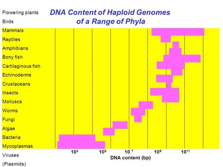 DNA Content of Haploid Genomes