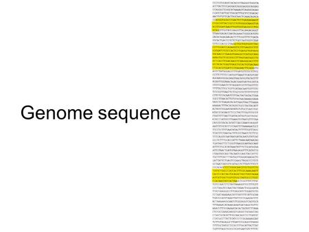 Genome sequence.