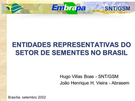 SNT/GSM ENTIDADES REPRESENTATIVAS DO SETOR DE SEMENTES NO BRASIL Hugo Villas Boas - SNT/GSM João Henrique H. Vieira - Abrasem Brasília, setembro 2002.