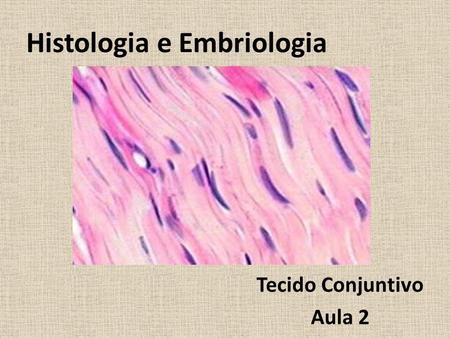 Histologia e Embriologia