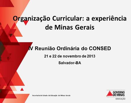 Organização Curricular: a experiência de Minas Gerais