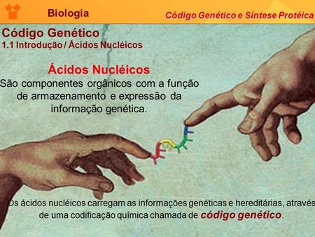 Biologia Código Genético e Síntese Protéica Código Genético