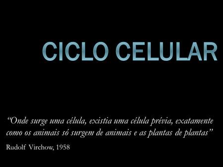 Ciclo celular “Onde surge uma célula, existia uma célula prévia, exatamente como os animais só surgem de animais e as plantas de plantas” Rudolf Virchow,