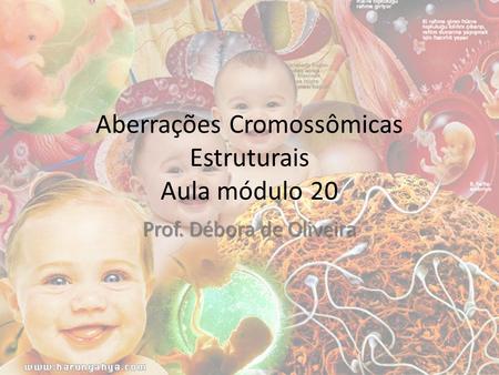 Aberrações Cromossômicas Estruturais Aula módulo 20