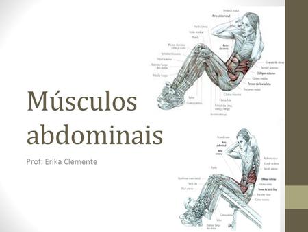 Músculos abdominais Prof: Erika Clemente.